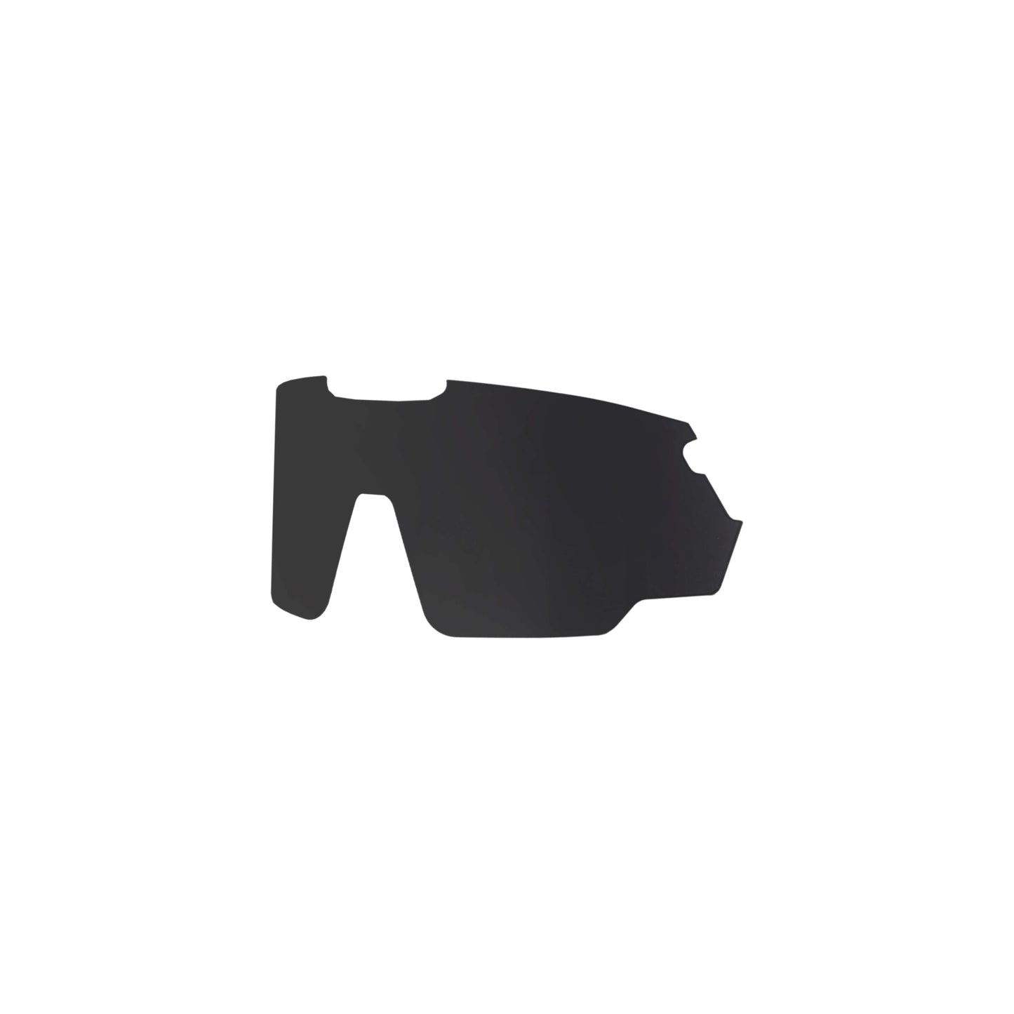 RAPTOR LENS CAT4 (SMOKE) BLACK